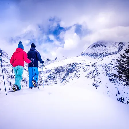 Апартаменты Bergparadies Stubnerkogel Дорфгаштайн